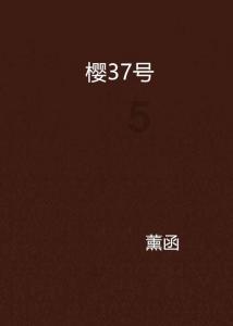 沙特人都很有钱吗?,解锁智慧